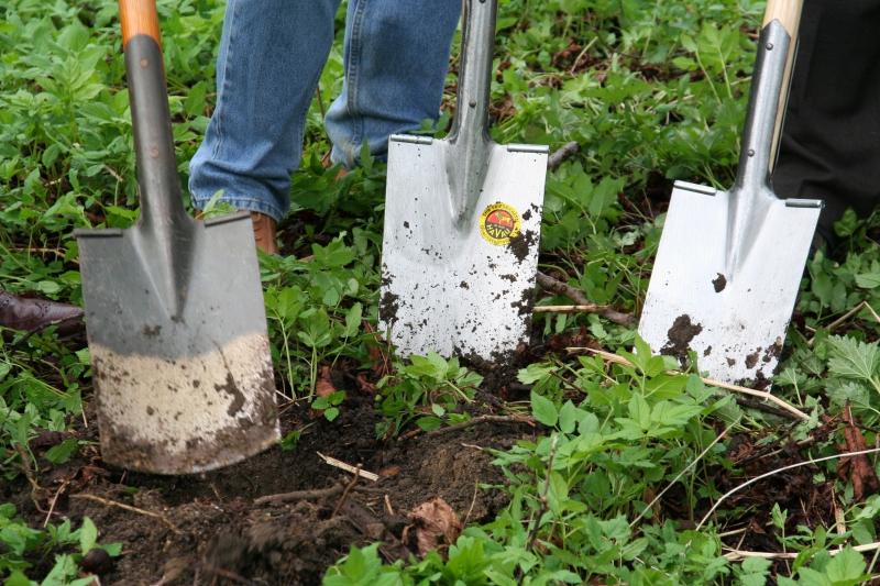 pepiniere-CALLIAN-min_work-lawn-flower-tool-green-backyard-1103633-pxhere.com